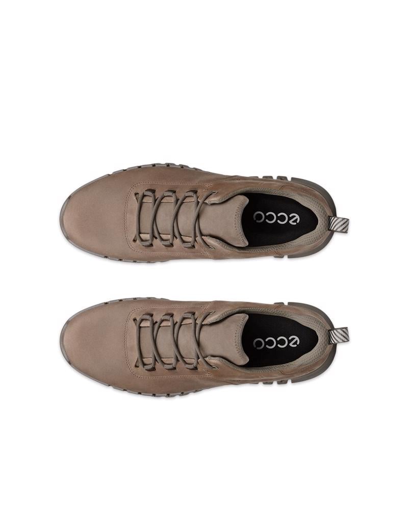 Brown ECCO GRUUV M SNEAKER LEA GTXS