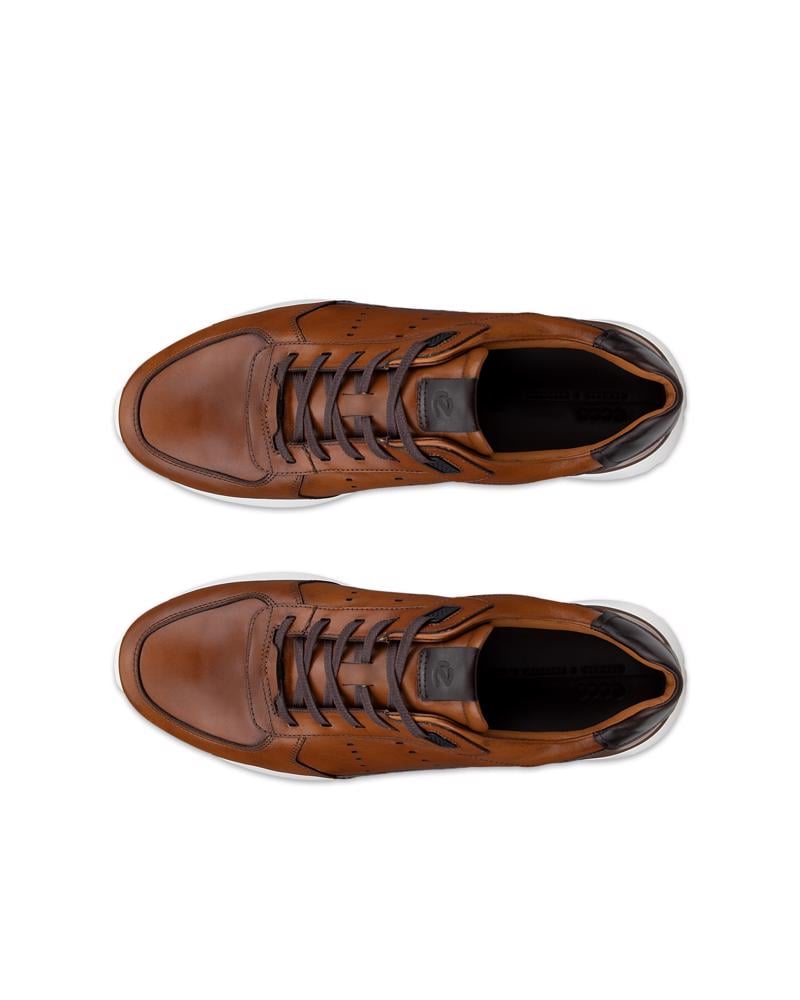 Brown ECCO ASTIR NEO DRESS SNEAKER