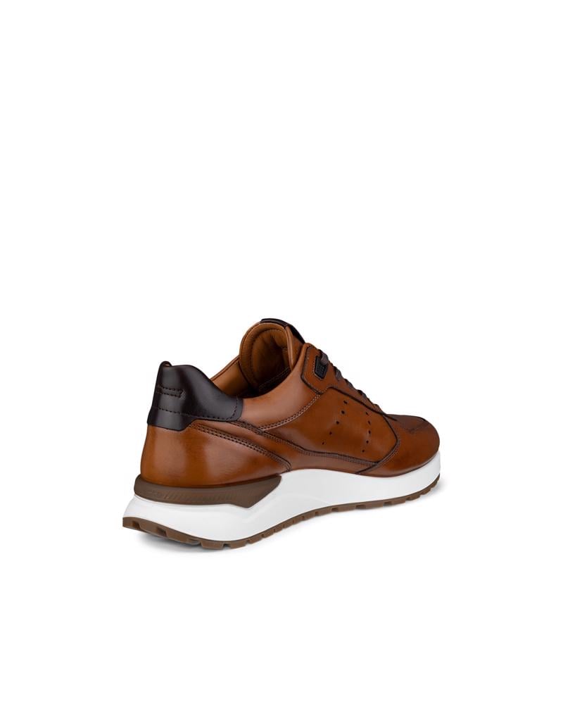 Brown ECCO ASTIR NEO DRESS SNEAKER