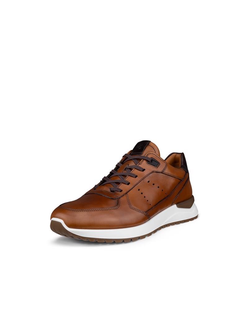 Brown ECCO ASTIR NEO DRESS SNEAKER