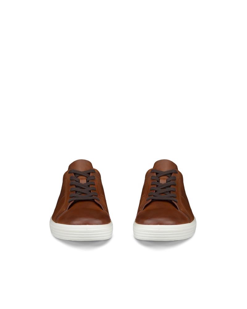 Brown ECCO Classic Sneaker M Lace