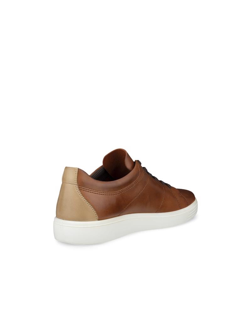 Brown ECCO Classic Sneaker M Lace