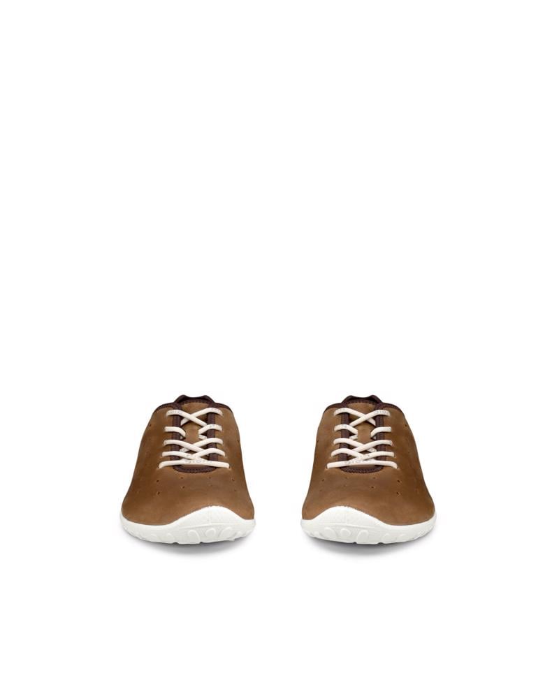 Brown ECCO Biom Everyday M Lace