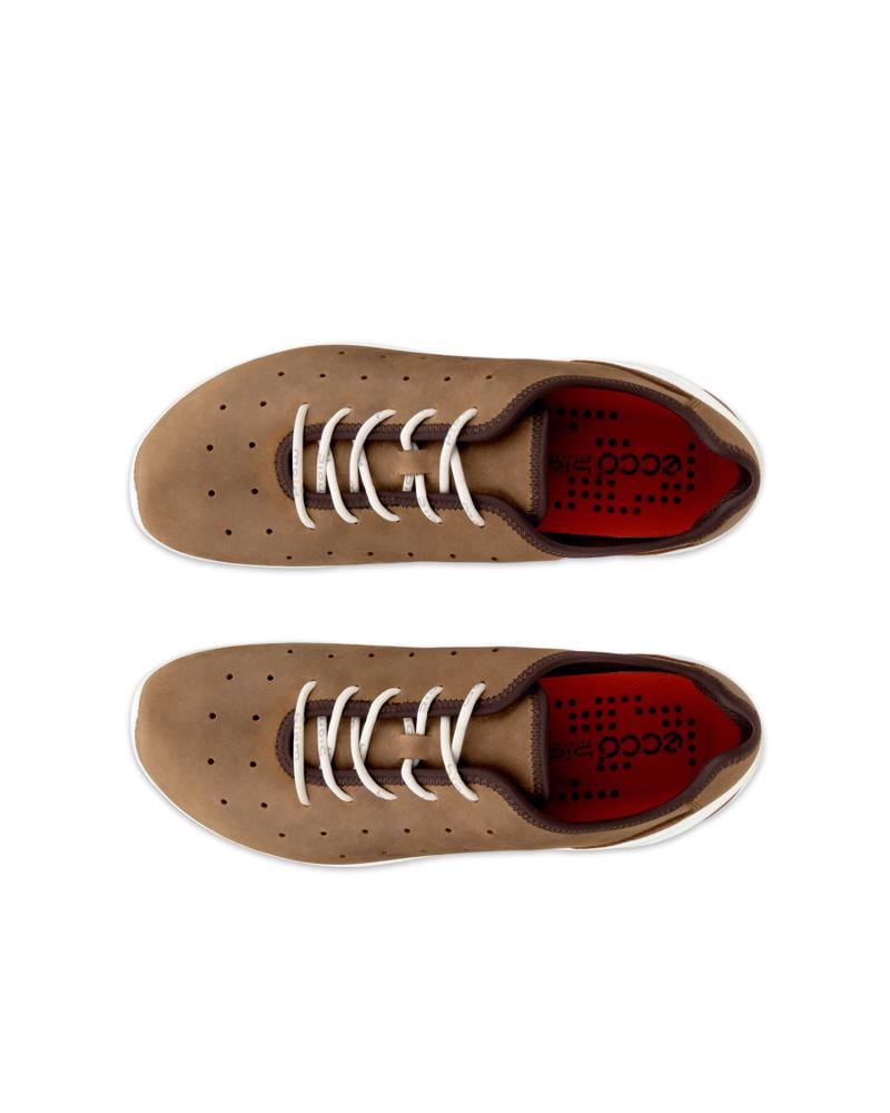 Brown ECCO Biom Everyday M Lace