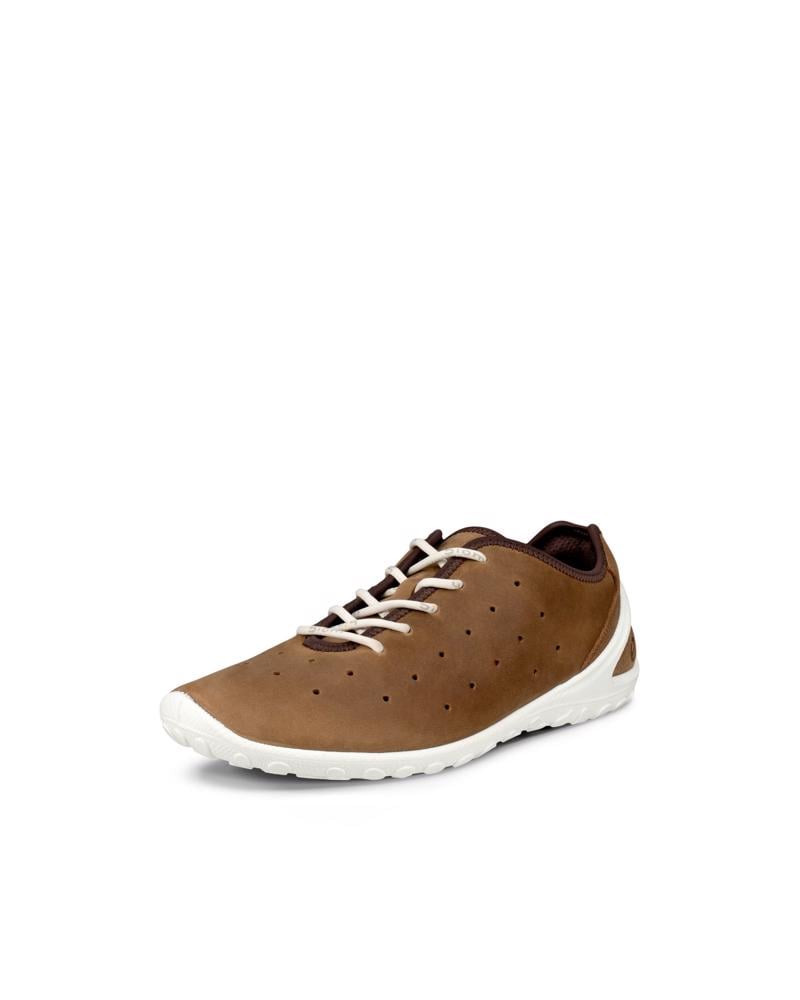 Brown ECCO Biom Everyday M Lace