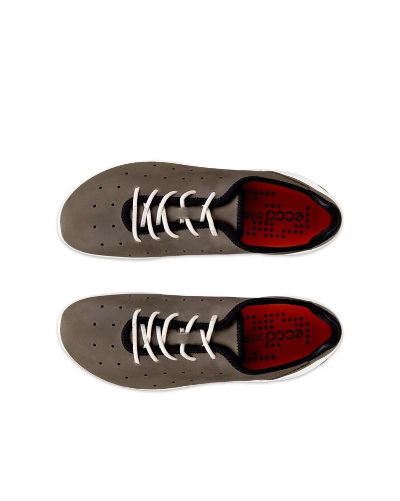 Brown ECCO Biom Everyday M Lace