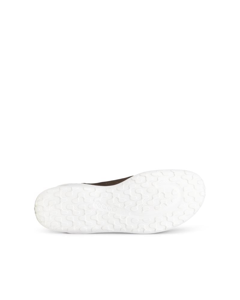 Brown ECCO Biom Everyday M Lace