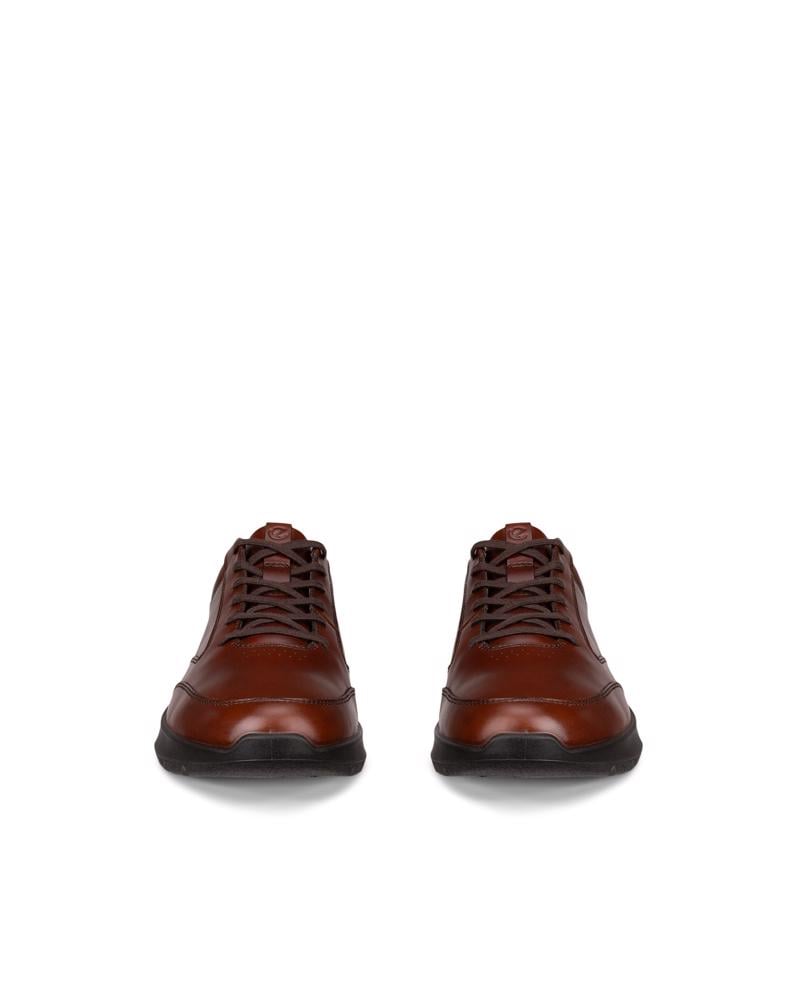Brown ECCO CITY STRIDE SNEAKER