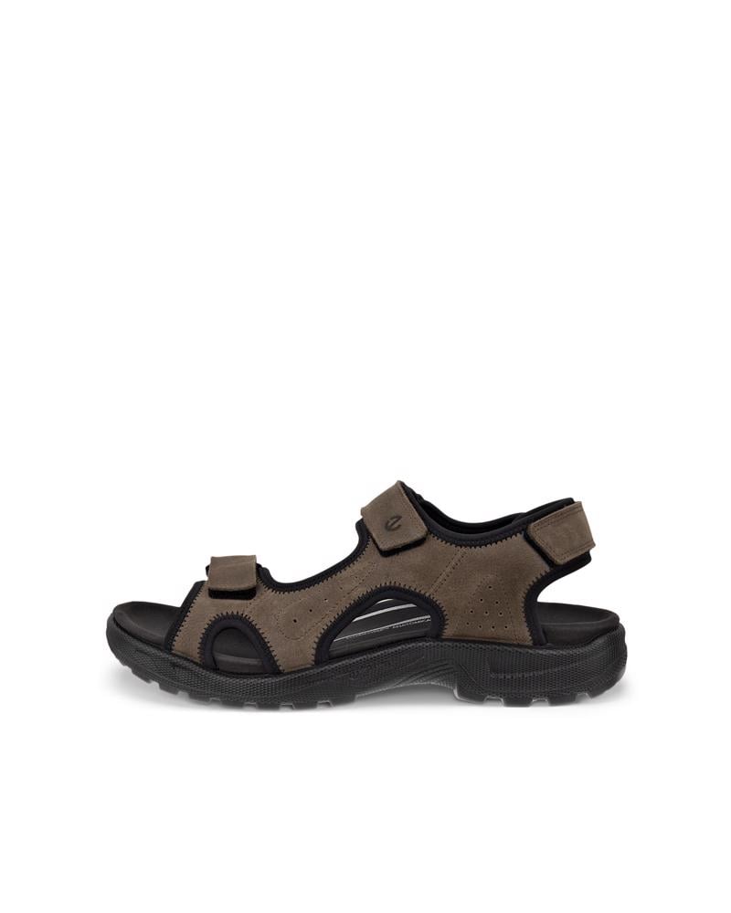 Brown ECCO Onroads M Sandal