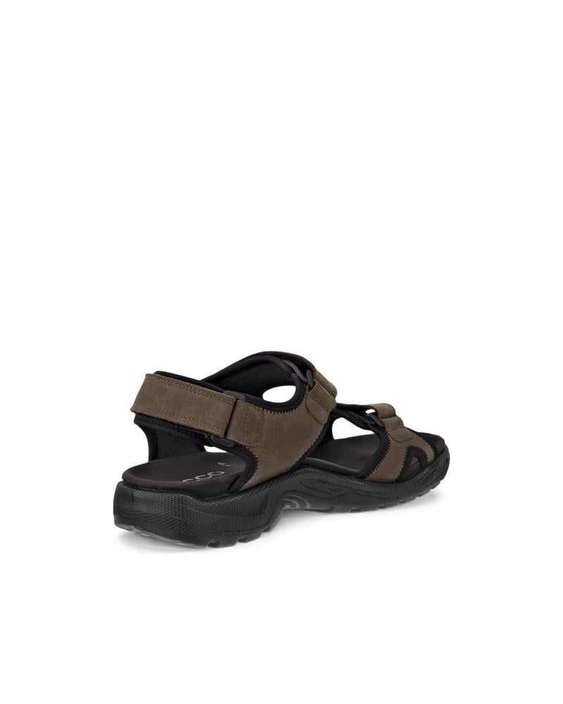 Brown ECCO Onroads M Sandal