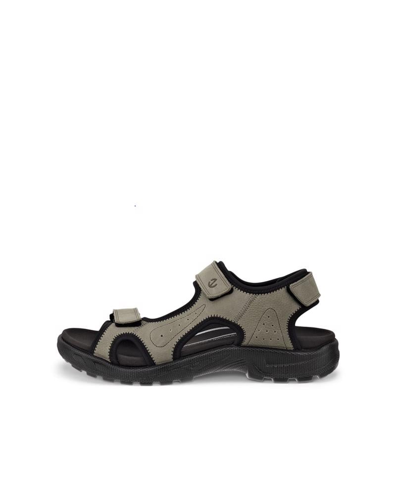 اخضر ECCO Onroads M Sandal