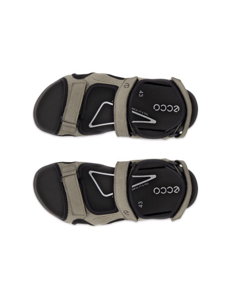 اخضر ECCO Onroads M Sandal