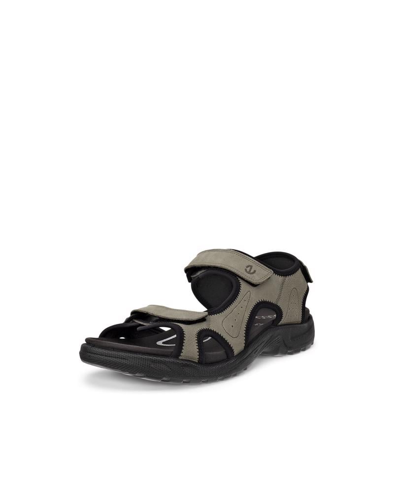 اخضر ECCO Onroads M Sandal