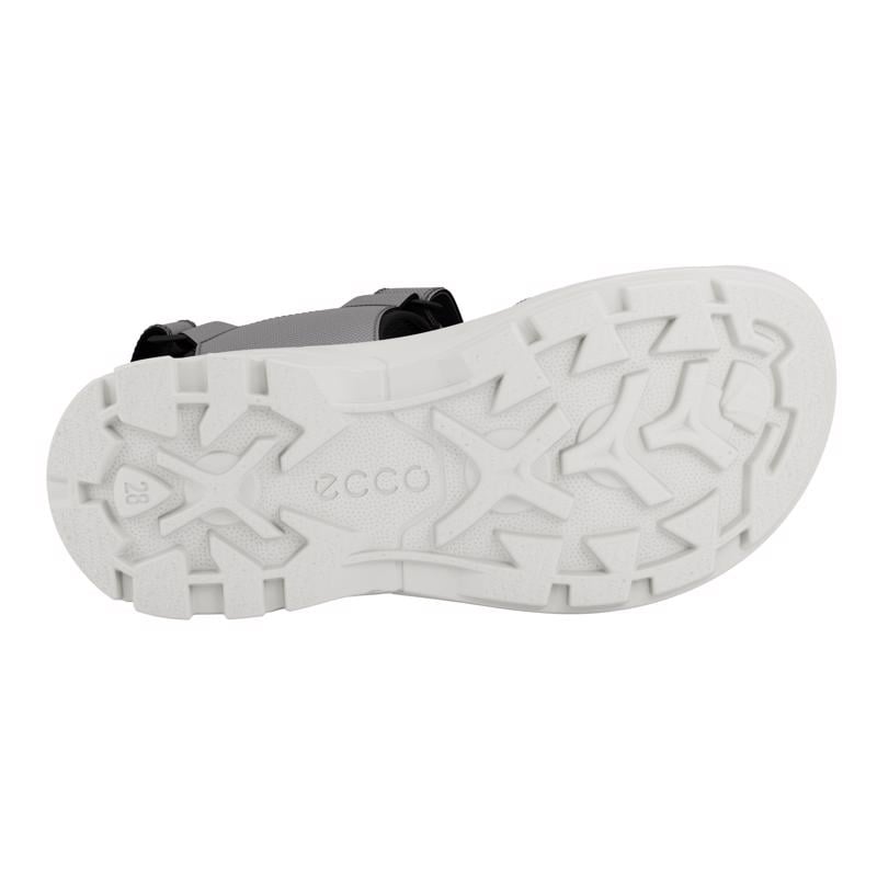 Grey ECCO BIOM RAFT C