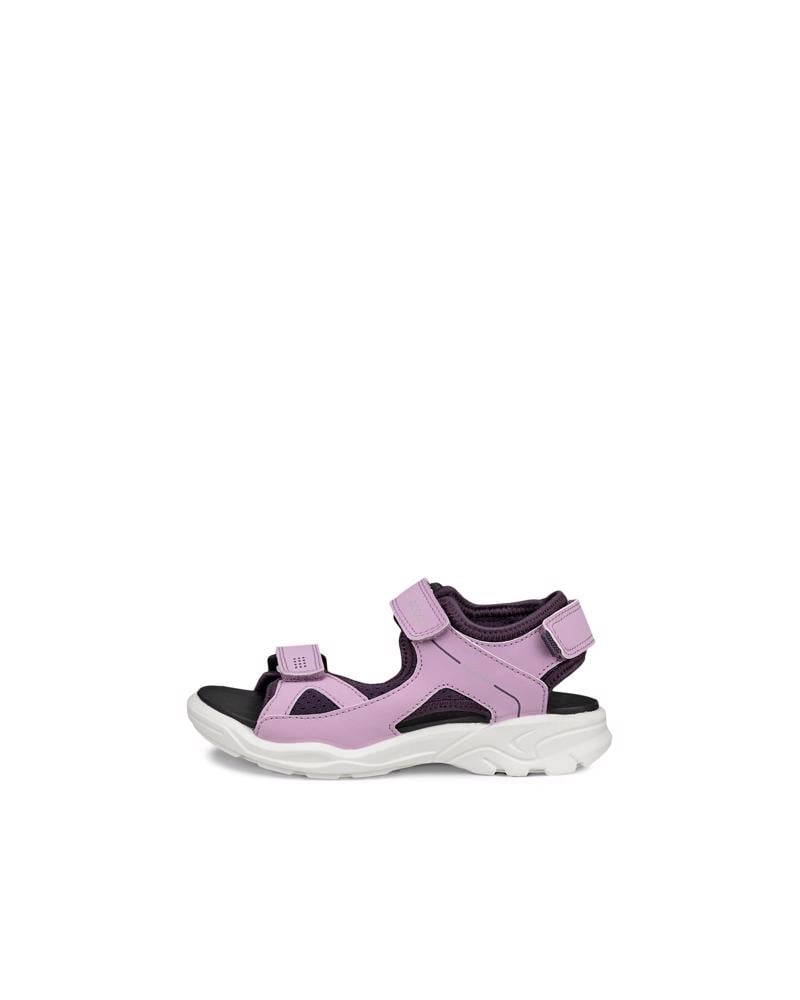 Purple ECCO BIOM RAFT C