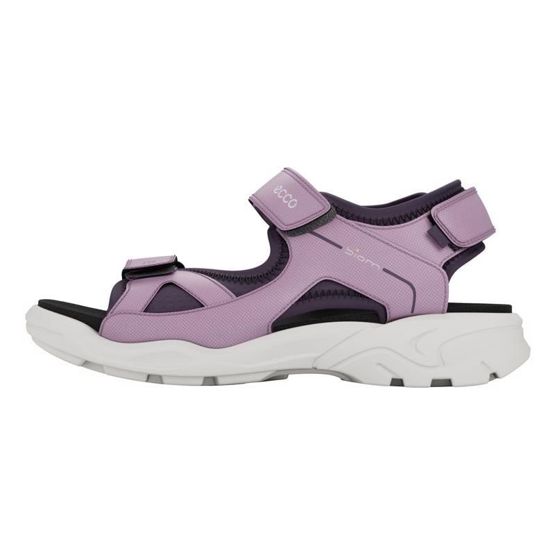 Purple ECCO BIOM RAFT C