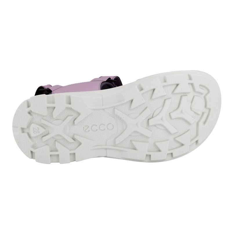 Purple ECCO BIOM RAFT C