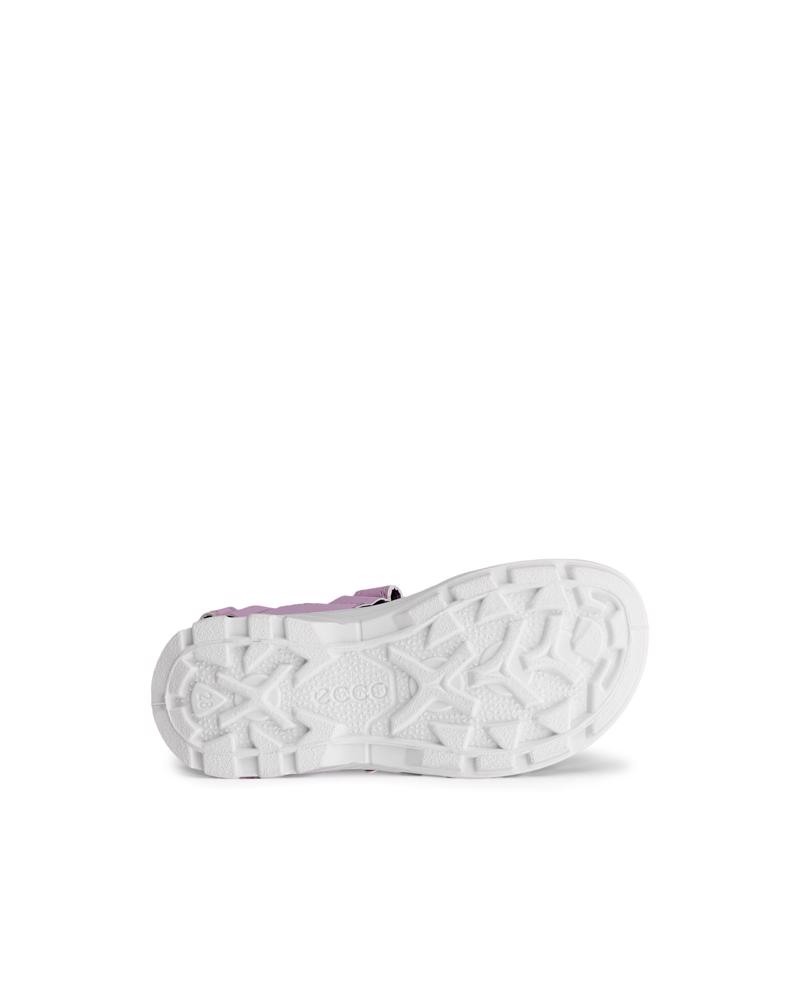 Purple ECCO BIOM RAFT J
