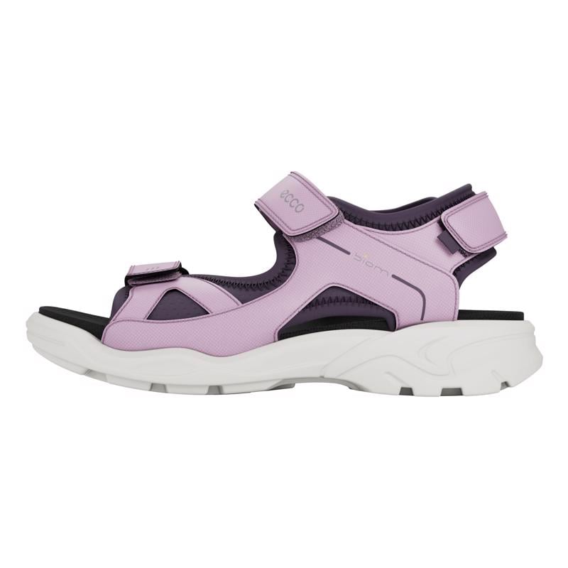 Purple ECCO BIOM RAFT J