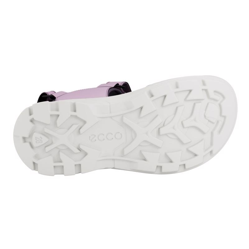 Purple ECCO BIOM RAFT J