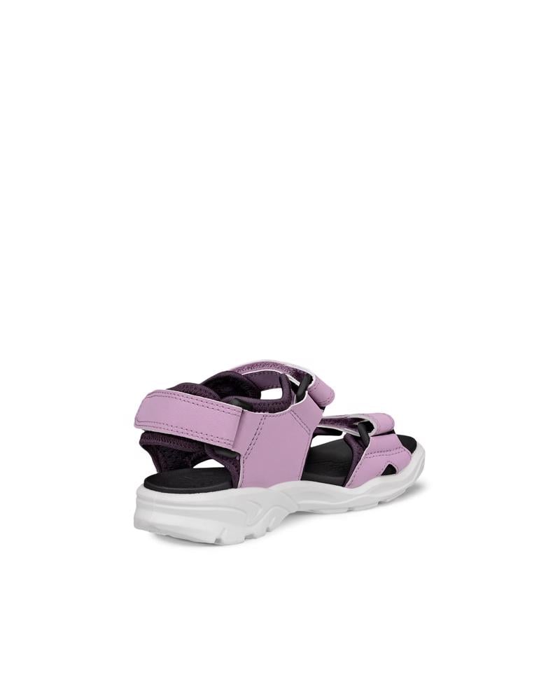 Purple ECCO BIOM RAFT J