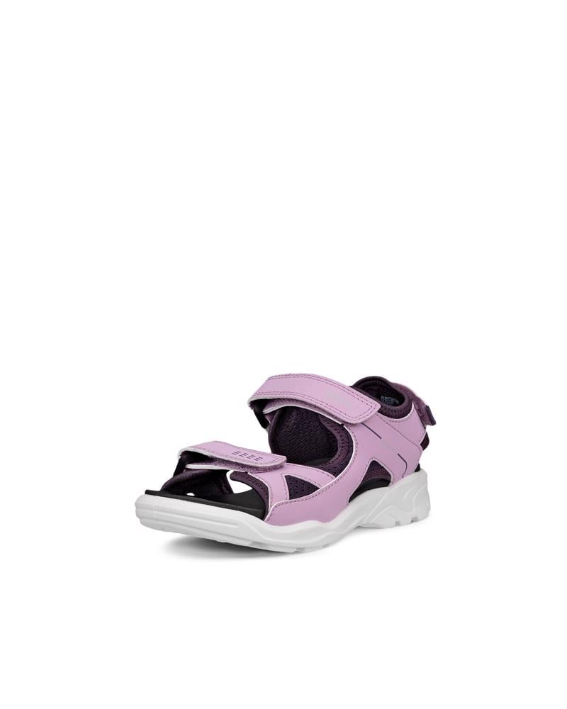 Purple ECCO BIOM RAFT J