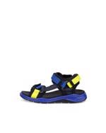 Product Color-BLUE