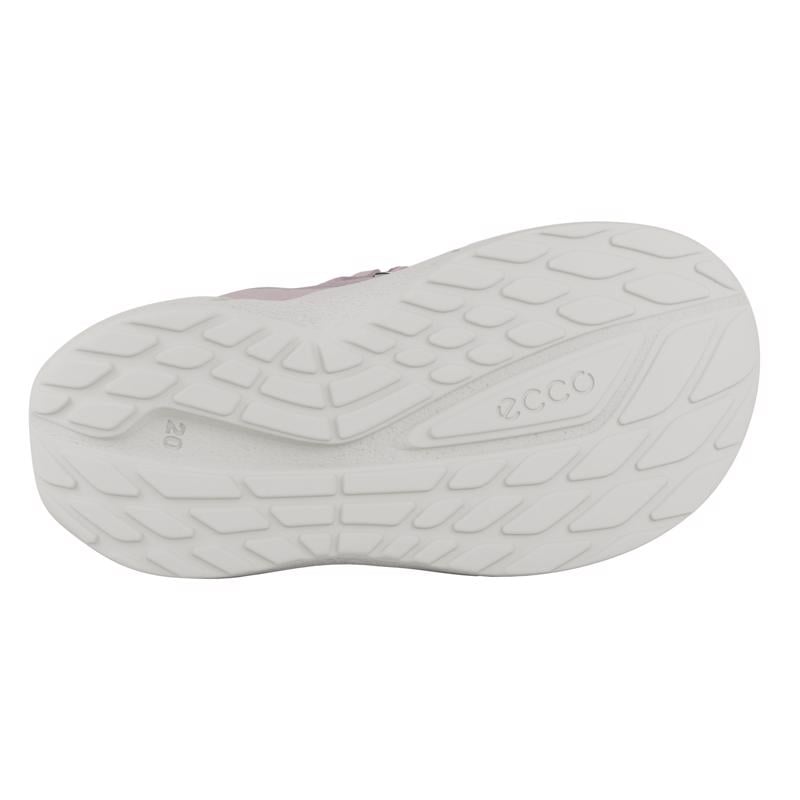 Purple ECCO BIOM 2.2 I TEX