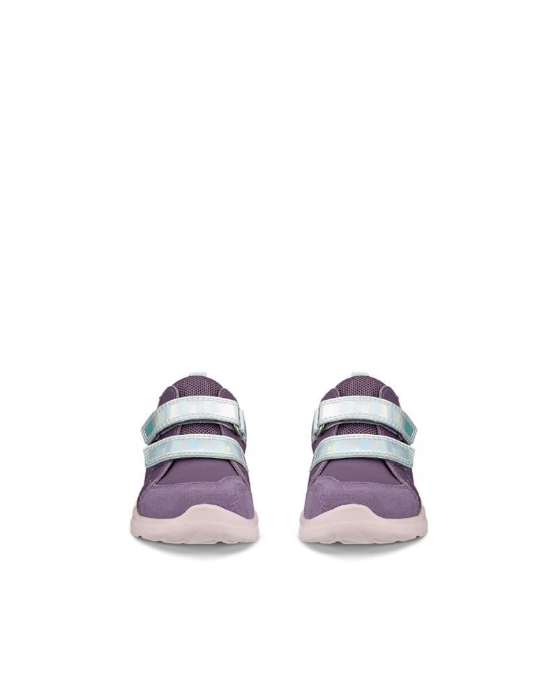 Purple ECCO BIOM 2.2 INF. VELCRO SHOE