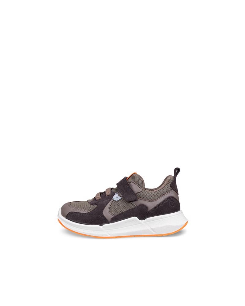 Brown ECCO BIOM 2.2 K WP