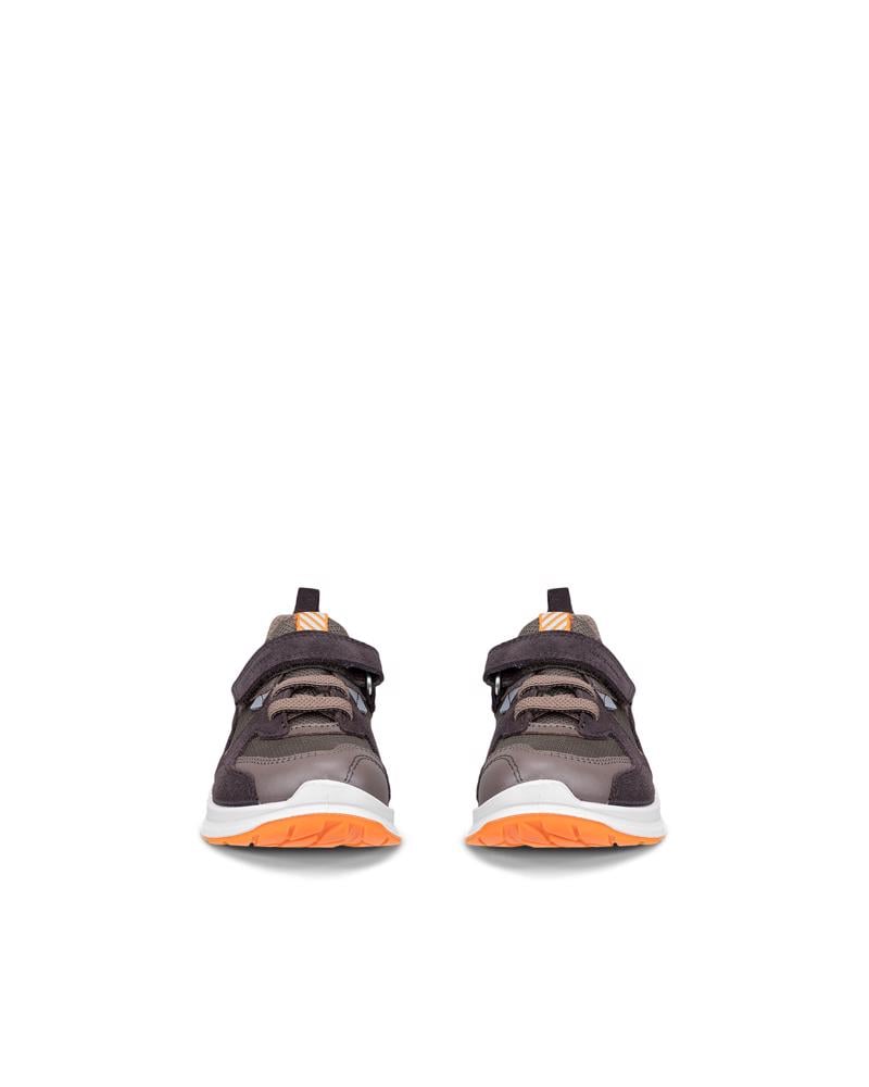 Brown ECCO BIOM 2.2 K WP