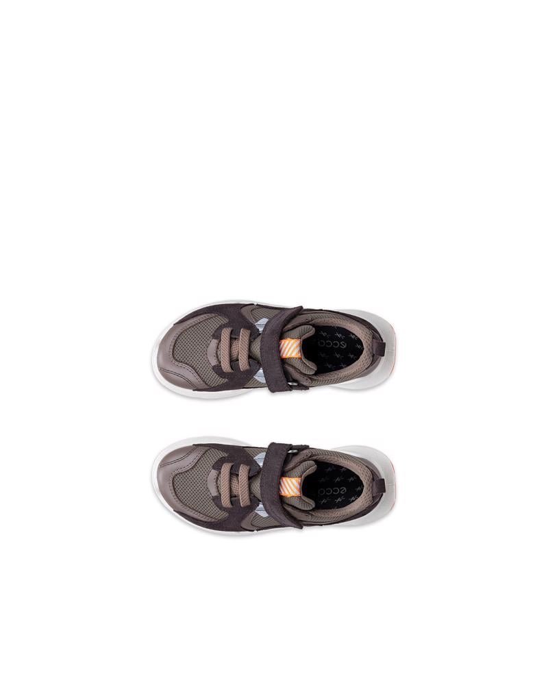 Brown ECCO BIOM 2.2 K WP
