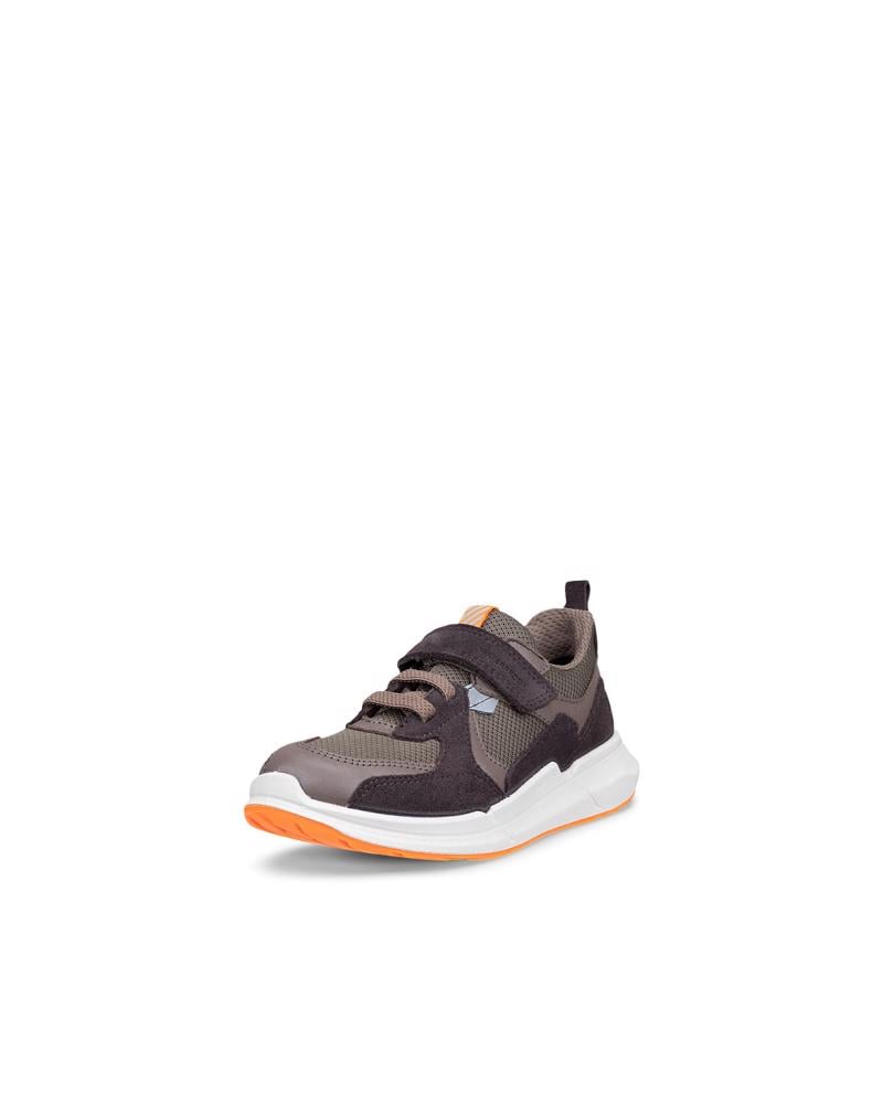 Brown ECCO BIOM 2.2 K WP