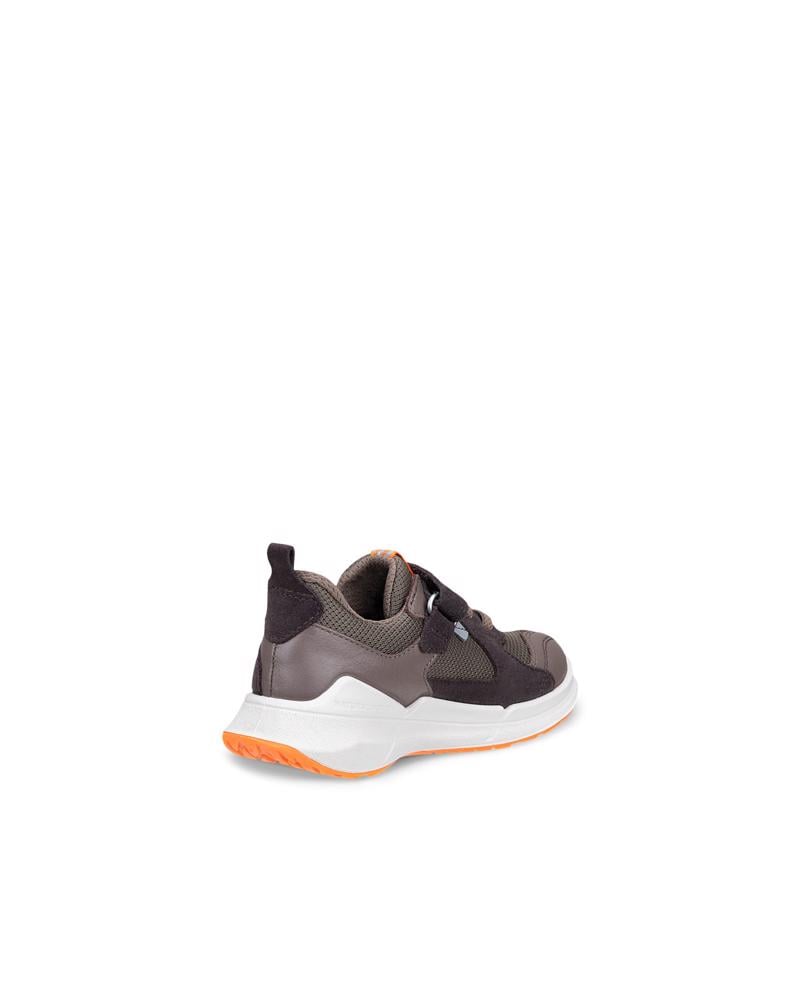 Brown ECCO BIOM 2.2 K WP
