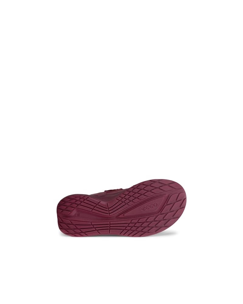 Red ECCO BIOM 2.2 K WP