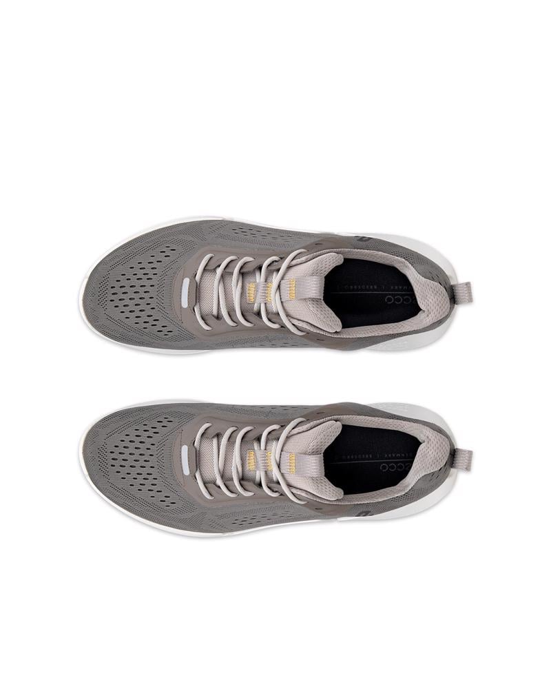Brown ECCO Biom 2.0 M Mesh Sneaker