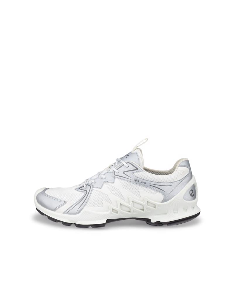 White ECCO BIOM AEX M GTX
