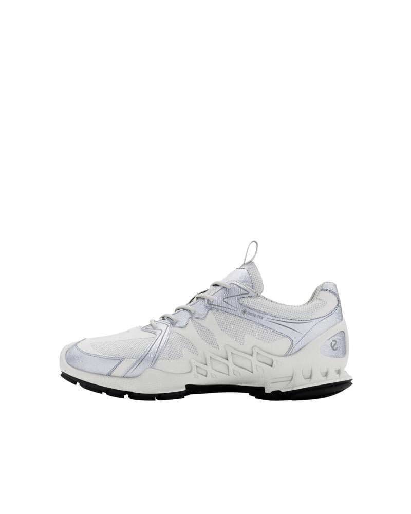 White ECCO BIOM AEX M GTX