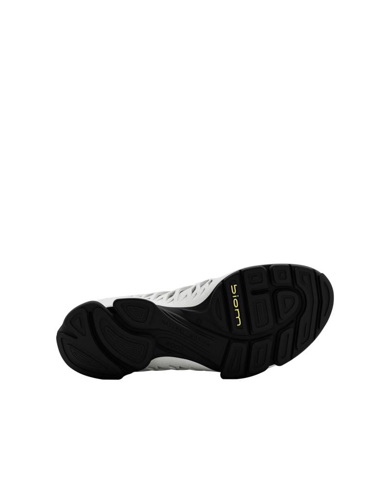 White ECCO BIOM AEX M GTX
