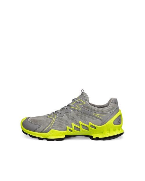 Grey ECCO BIOM AEX M GTX