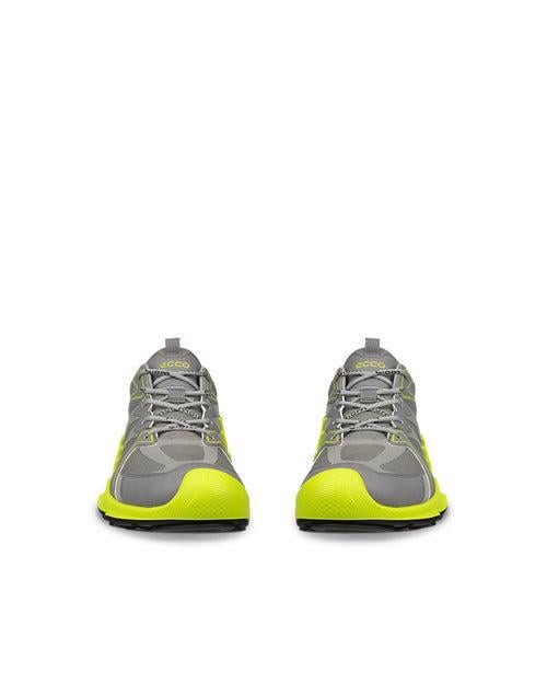 Grey ECCO BIOM AEX M GTX