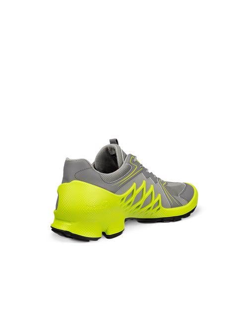 Grey ECCO BIOM AEX M GTX