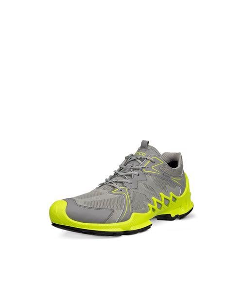 Grey ECCO BIOM AEX M GTX