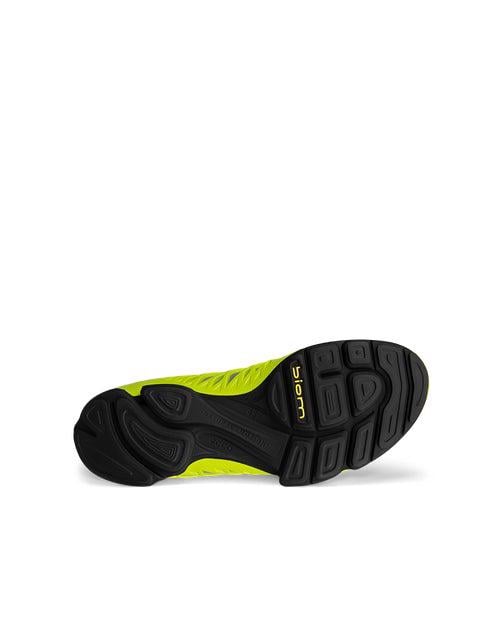 Grey ECCO BIOM AEX M GTX