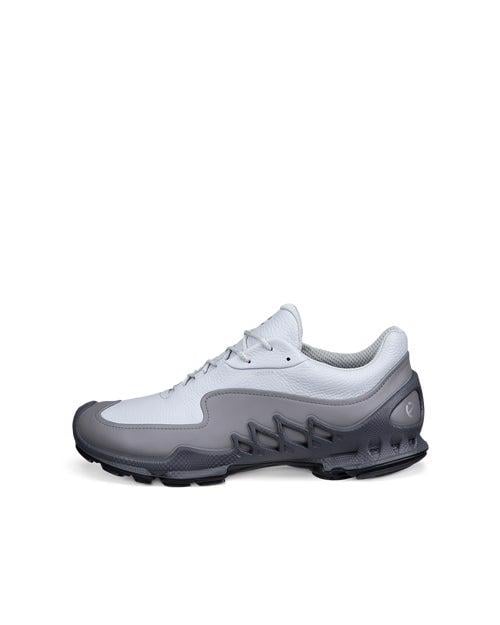 Grey ECCO BIOM AEX M GTX LEA