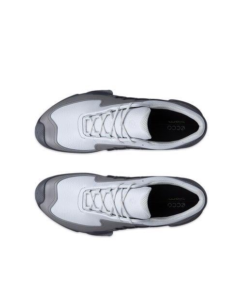 Grey ECCO BIOM AEX M GTX LEA