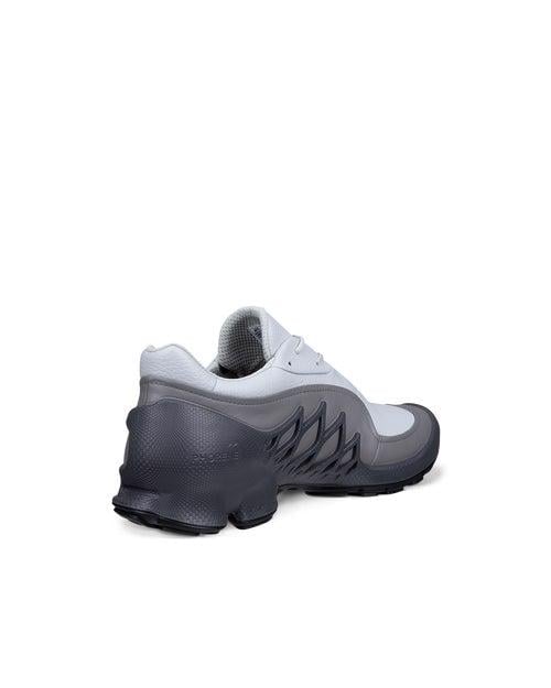 Grey ECCO BIOM AEX M GTX LEA