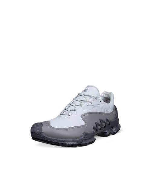Grey ECCO BIOM AEX M GTX LEA
