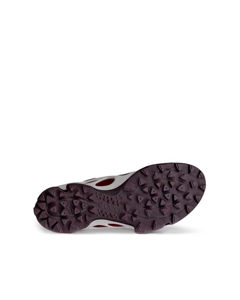 Red ECCO BIOM C-TRAIL W INV-GTX