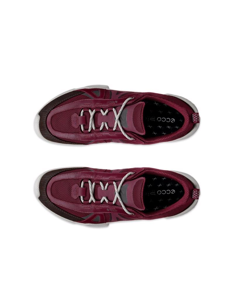 Red ECCO BIOM C-TRAIL W INV-GTX